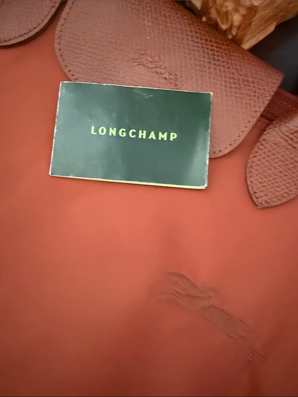 Longchamp - Picture 11 of 11